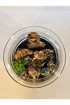 El Yapımı Cam Teraryum – Siyah Kum, Ağaç Dokusu, Kaktüs & Sukulent Dekor