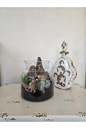 El Yapımı Cam Teraryum – Siyah Kum, Ağaç Dokusu, Kaktüs & Sukulent Dekor