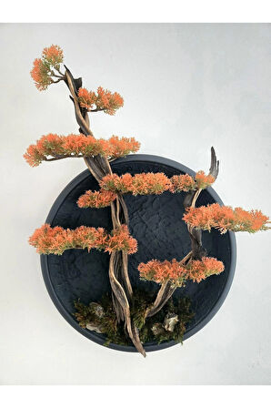 El Yapımı Driftwood Bonsai – Turuncu Yapay Yapraklar ve Gerçek Ağaç Gövdeli Duvar Dekoru