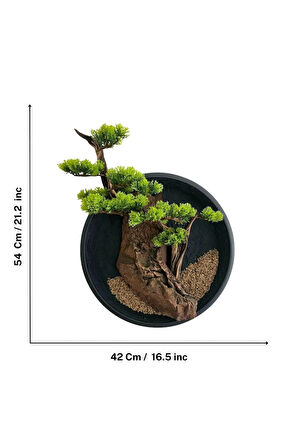 El Yapımı Driftwood Bonsai – Yeşil Şoklanmış Yosunlu Duvar Dekoru-Tablosu