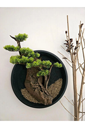 El Yapımı Driftwood Bonsai – Gerçekçi Yapay Yapraklı Duvar Dekoru - Tablo