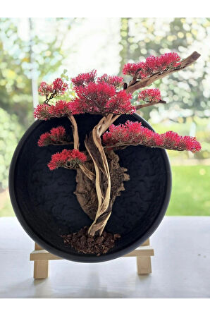 El Yapımı Driftwood Bonsai – Kırmızı Yapay Çiçekli Duvar Dekoru