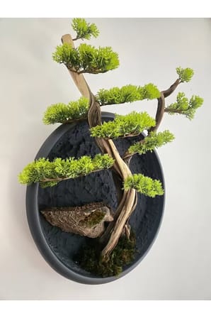 El Yapımı Bonsai Duvar Sanatı | Korunmuş Yosun Hayat Ağacı | Japon Zen Ev Dekorasyonu | Doğadan Esinlenilmiş Botanik Heykel