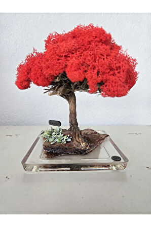 El Yapımı Kırmızı Bonsai Ağaç – Doğal Dal Tabanlı Dekoratif Masa Dekoru