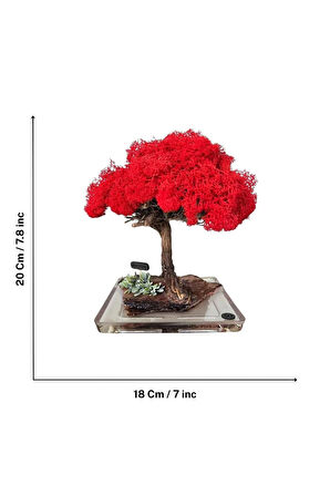 El Yapımı Kırmızı Bonsai Ağaç – Doğal Dal Tabanlı Dekoratif Masa Dekoru