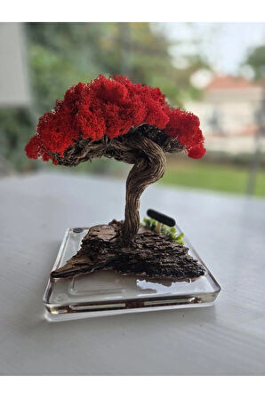 El Yapımı Kırmızı Bonsai Ağaç – Doğal Dal Tabanlı Dekoratif Masa Dekoru