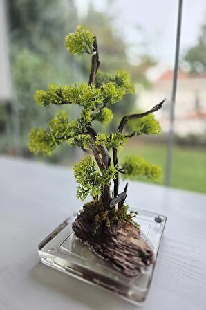 El Yapımı Bonsai Dekor | Gerçek Ağaç Gövdesi & Şoklanmış Yosunlu Epoksi | Masa Üstü Süs
