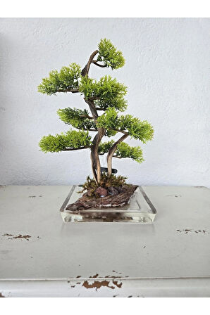 El Yapımı Bonsai Dekor | Gerçek Ağaç Gövdesi & Şoklanmış Yosunlu Epoksi | Masa Üstü Süs