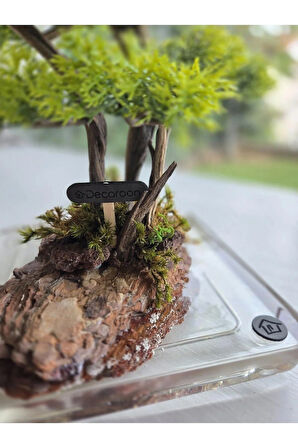El Yapımı Bonsai Dekor | Gerçek Ağaç Gövdesi & Şoklanmış Yosunlu Epoksi | Masa Üstü Süs