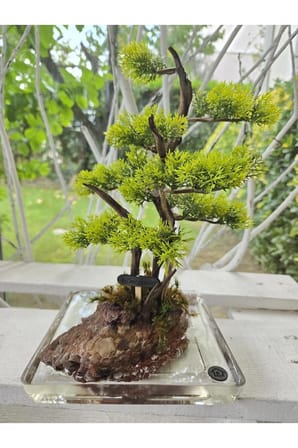 El Yapımı Bonsai Dekor | Gerçek Ağaç Gövdesi & Şoklanmış Yosunlu Epoksi | Masa Üstü Süs