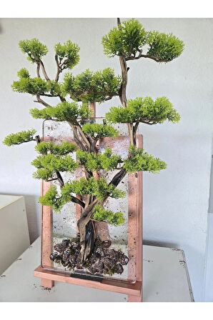 El Yapımı Duvar Bonsai – Doğal Dal ve Şoklanmış Yosun Duvar Dekoru
