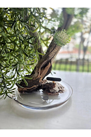 El Yapımı Sarkık Yapraklı Bonsai – Doğal Ağaç | Epoksi Tabanlı Yapay Dekoratif Ağaç
