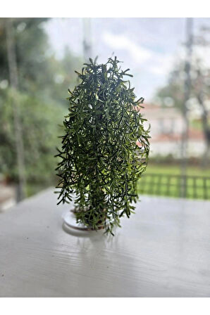 El Yapımı Sarkık Yapraklı Bonsai – Doğal Ağaç | Epoksi Tabanlı Yapay Dekoratif Ağaç