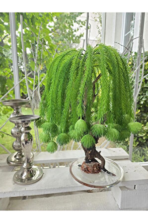 El Yapımı Salkım Söğüt Tarzı Bonsai – Doğal Ağaç | Epoksi Tabanlı Yapay Dekoratif Ağaç