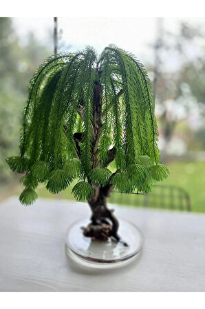 El Yapımı Salkım Söğüt Tarzı Bonsai – Doğal Ağaç | Epoksi Tabanlı Yapay Dekoratif Ağaç