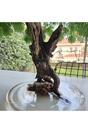 El Yapımı Salkım Söğüt Tarzı Bonsai – Doğal Ağaç | Epoksi Tabanlı Yapay Dekoratif Ağaç