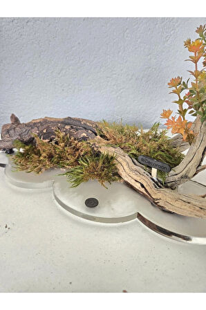 El Yapımı Doğal Ağaç Dekor – Sonbahar Renkli Yapay Çiçekli Masa Üstü Tasarım