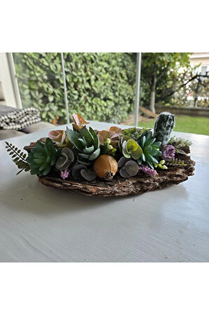 El Yapımı Sukulent ve Kaktüs Dekoru – Ağaç Kabuğu Üzeri Doğal Masa Üstü Süs