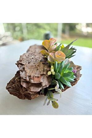 El Yapımı Sukulent ve Kaktüs Dekoru – Ağaç Kabuğu Üzeri Doğal Masa Üstü Süs