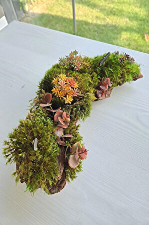 El Yapımı Doğal Yosunlu Ağaç Kabuğu Dekor – Renkli Yapay Çiçekli Masa Süsü