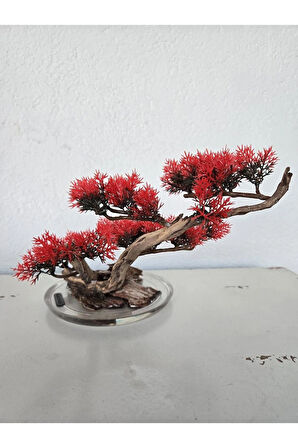 El Yapımı Eğimli Bonsai Dekor – Epoksi Tabanlı Driftwood Ağaç (Yeşil, Kırmızı, Turuncu)