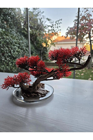 El Yapımı Eğimli Bonsai Dekor – Epoksi Tabanlı Driftwood Ağaç (Yeşil, Kırmızı, Turuncu)