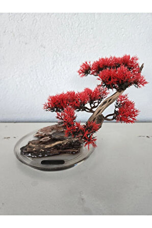El Yapımı Eğimli Bonsai Dekor – Epoksi Tabanlı Driftwood Ağaç (Yeşil, Kırmızı, Turuncu)