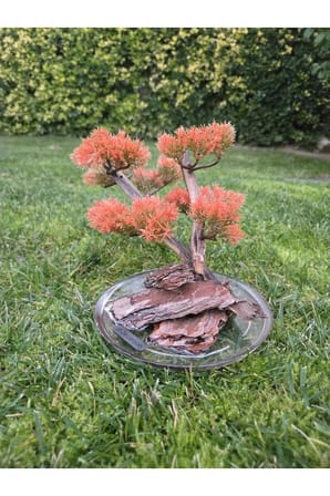 El Yapımı Eğimli Bonsai Dekor – Epoksi Tabanlı Driftwood Ağaç (Yeşil, Kırmızı, Turuncu)