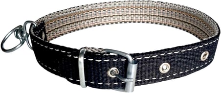 Tasma Atalier Köpek Boyun Tasması (Siyah)