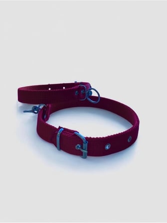 Büyük Boy Köpek Tasması Kırmızı 60 Cm