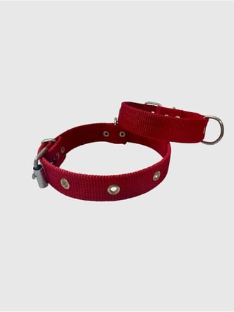 Küçük Boy Yavru Köpekler İçin Tasma Kırmızı 40"