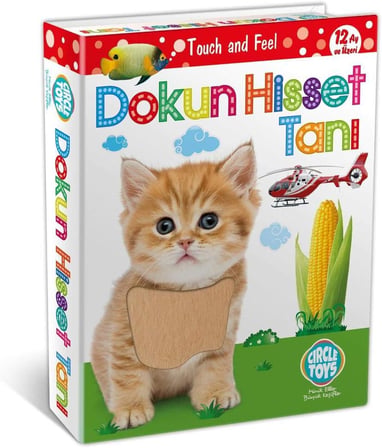 Dokun Hisset Tanı Eğitim Kartları, Zeka Kartları