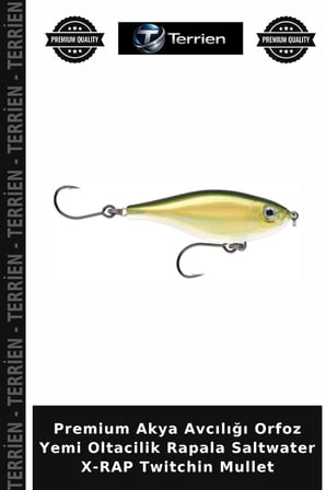 Premium Akya Avcılığı Orfoz Yemi Oltacilik Rapala Saltwater X-RAP Twitchin Mullet GO 60MM