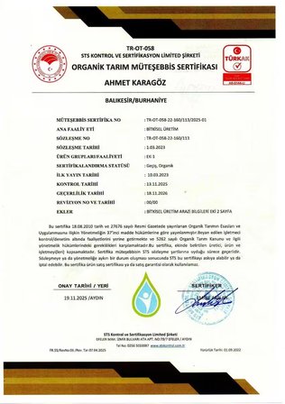 250 ML Damak Sefası Bebek Zeytinyağı (2025-26) Yüksek Polifenollü Erken Hasat, Soğuk Sıkım, Filtresiz