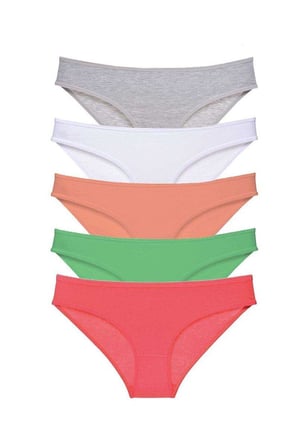 5 adet Süper Eko Set Likralı Kadın Slip Külot Gri Beyaz Pudra Yeşil Fuşya mudanis