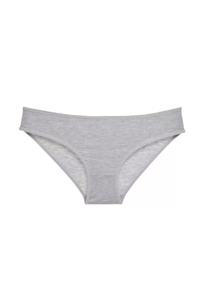 Gri Kadın Günlük Pamuklu Likralı Özel Poşet İçinde Taşınabilir  Slip Külot