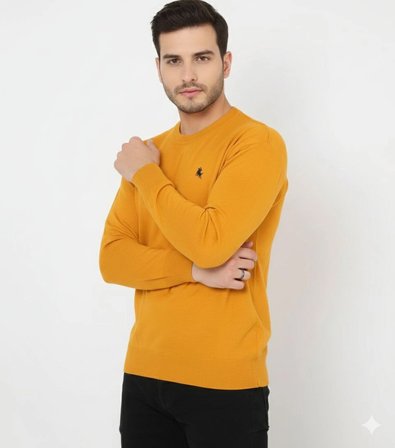 Bisiklet Yaka Nakış işlemeli Triko Kazak yumuşak dokulu Pamuklu ince Dokuma, uzun kollu Rahat Regular kalıp - Turuncu