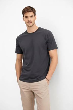 Erkek Bisiklet Yaka Yazlık Kısa kol Düz Tişört Regular Kalıp T-shirt - Füme