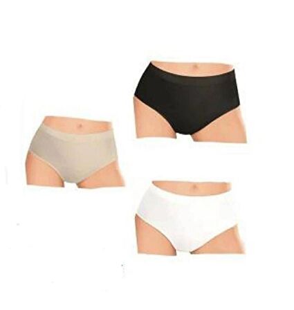 ELİT LİFE 811 ( A-01 ) Kadın YÜKSEK BEL DİKİŞSİZ ESNEK SLİP KÜLOT KARIŞIK RENKLİ 3 ADET