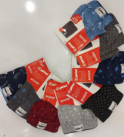  43 ERKEK HAVLU BEL DESENLİ BOXER 9 ADET