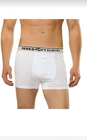 SEHER I 0060 ERKEK LİKRALI BOXER 10 ADET