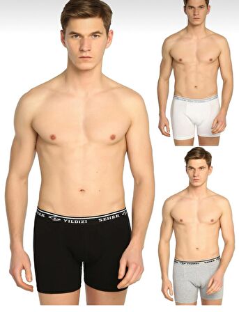 SEHER I 0060 ERKEK LİKRALI KARIŞIK RENK BOXER 3 ADET