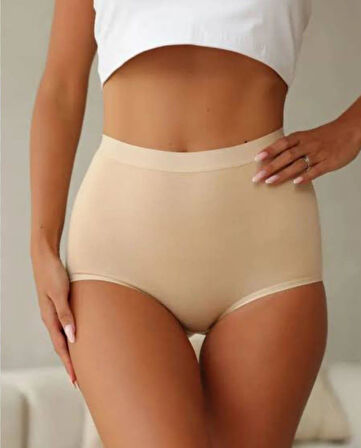 BERRAK 11656 KADIN MODAL TOPARLAYICI KÜLOT 6 ADET