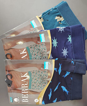 BERRAK 4480 ERKEK PENYE DESENLİ LİKRALI BOXER 3 ADET