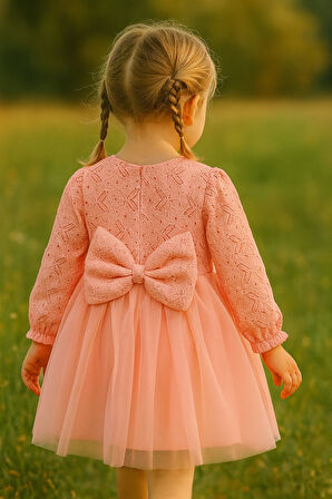 Kız Bebek Çocuk Dantel Güpürlü Doğum Günü Parti Düğün Özel Gün Tüllü Astarlı Prenses Abiye Elbise