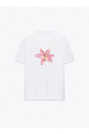 Lily Baskılı Bisiklet Yaka Basic Trend Kadın T-shirt