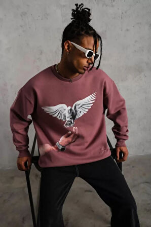 Erkek Güvercin Baskılı Sweatshirt - Gül Kurusu