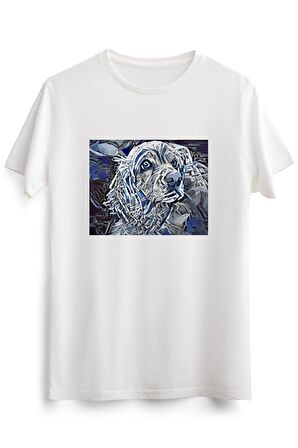 Erkek Beyaz Spaniel