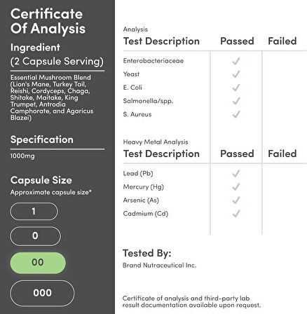 Double Wood Mushroom Lion's Mane Reishi Cordyceps and Turkey Tail 120 Caps