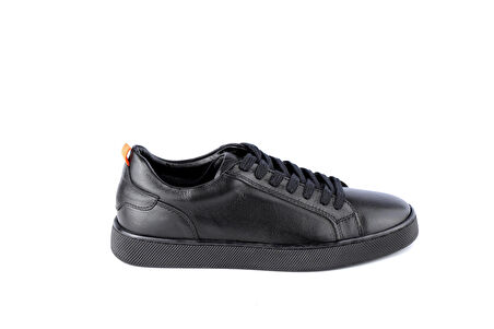 Dexter DX279077-61